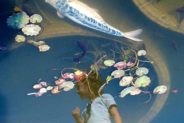 Photo numérique reflet AnnaDream